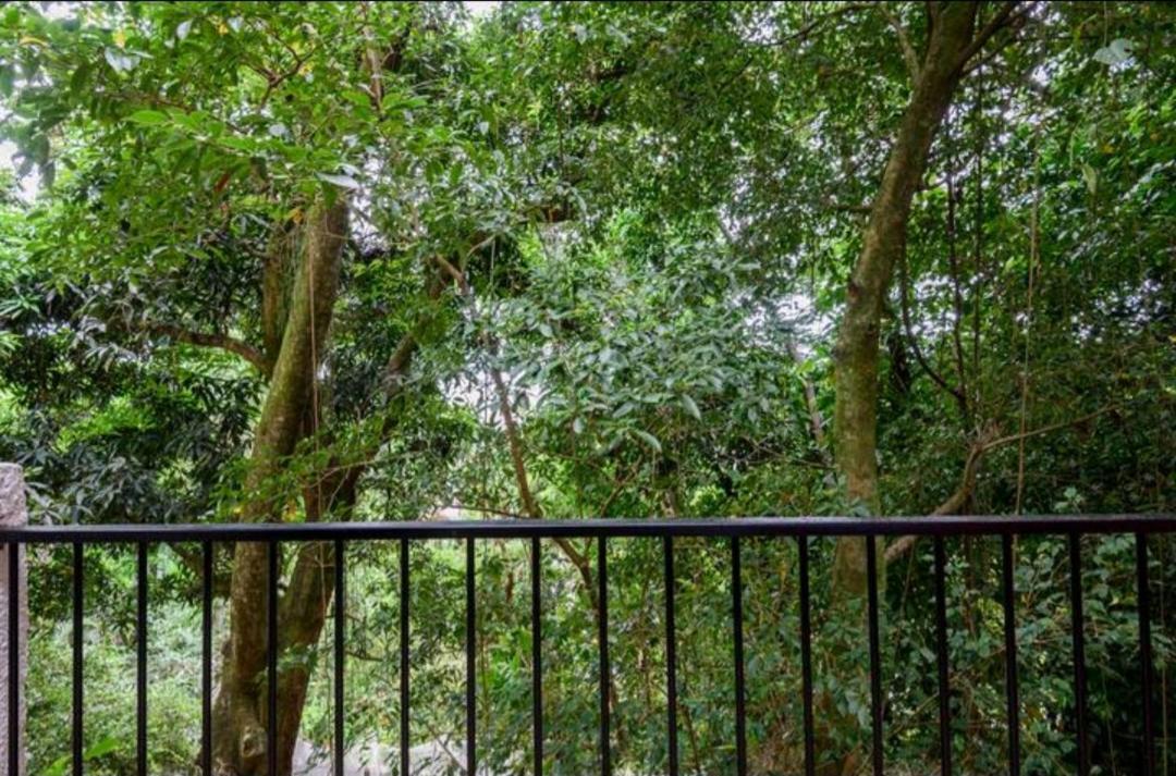 Santa Teresa Junto A Natureza Рио де Жанейро Екстериор снимка